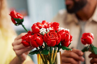Bouquet of Roses (822+pcs)