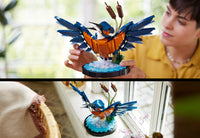 Kingfisher (834+pcs)