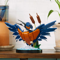 Kingfisher (834+pcs)