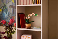 Mini Orchid (274+pcs)