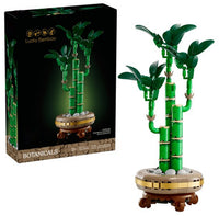 Lucky Bamboo (325+pcs)