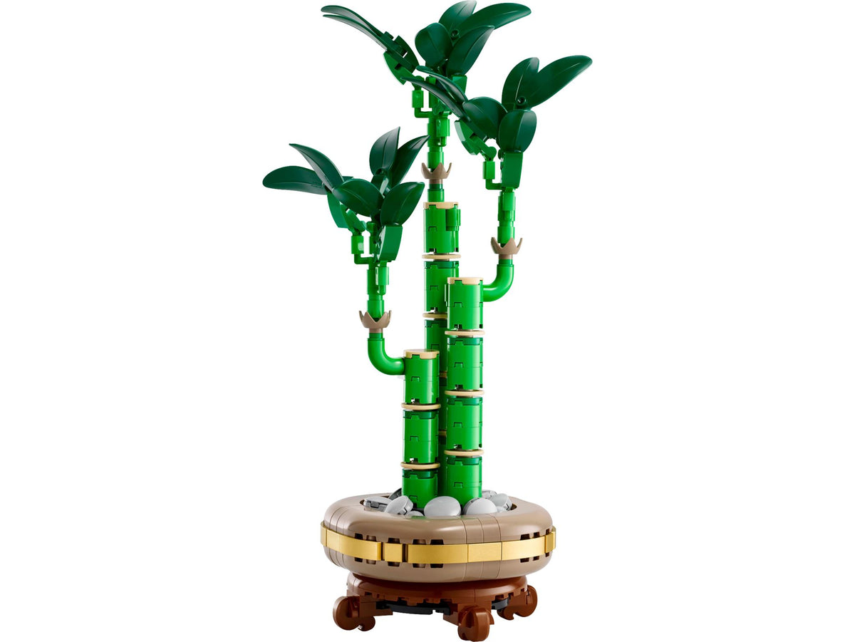 Lucky Bamboo (325+pcs)