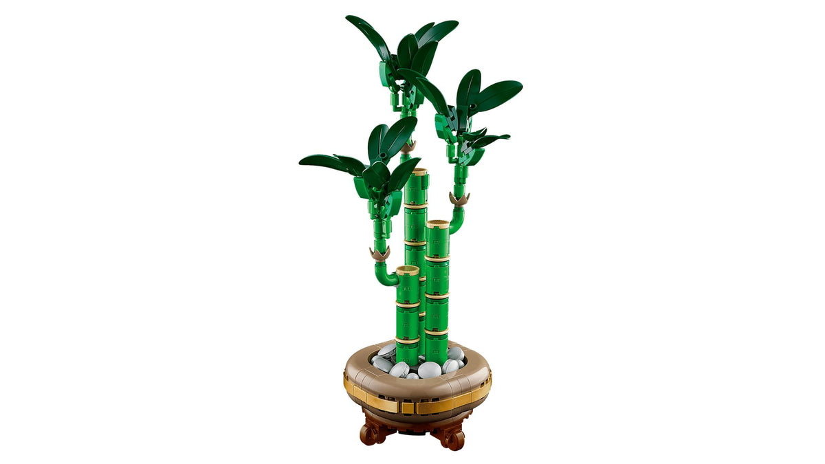 Lucky Bamboo (325+pcs)
