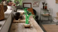 Lucky Bamboo (325+pcs)