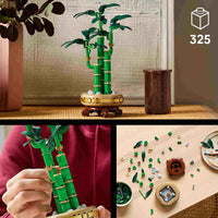Lucky Bamboo (325+pcs)
