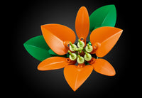 Flower Arrangement (1161+pcs)