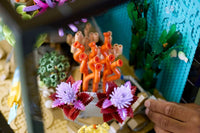 Aquarium Tropical (4154+ pièces)