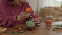 Chrysanthemum (278+pcs)