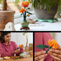 Chrysanthemum (278+pcs)