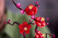 Plum Blossom (327+pcs)