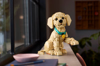 Golden Retriever Puppy (2102+pcs)