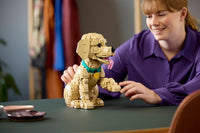 Golden Retriever Puppy (2102+pcs)