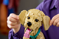 Golden Retriever Puppy (2102+pcs)