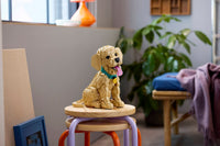 Golden Retriever Puppy (2102+pcs)