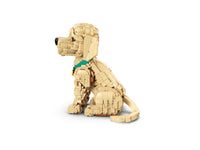 Golden Retriever Puppy (2102+pcs)