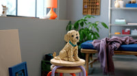 Golden Retriever Puppy (2102+pcs)