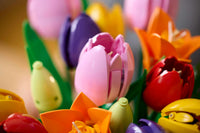 Tulip Bouquet (576+pcs)
