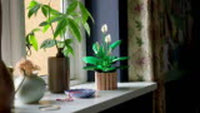 Peace Lily (474+pcs)