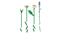 Daisies (133+pcs)
