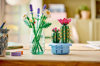 Flowering Cactus (482+pcs)