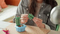 Flowering Cactus (482+pcs)