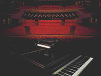 Grand Piano (3662+pcs)