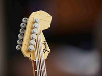 Fender Stratocaster (1074+pcs)