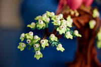 Love Birds (750+pcs)