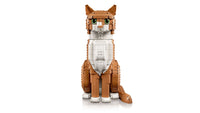 Orange Cat (1755+pcs)
