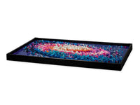 The Milky Way Galaxy (3091+pcs)