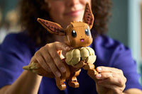 Eevee (587+pcs)