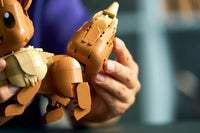 Eevee (587+pcs)