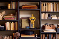 C-3PO (1138+pcs)