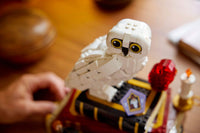 Philosopher's Stone - Collectors' Edition (1571+pcs)