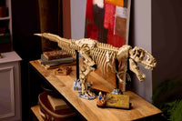 Dinosaur Fossils: Tyrannosaurus rex (3145+pcs)