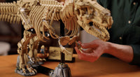 Dinosaur Fossils: Tyrannosaurus rex (3145+pcs)