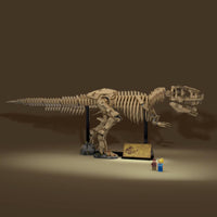 Dinosaur Fossils: Tyrannosaurus rex (3145+pcs)