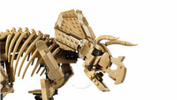 Dinosaur Fossils: Triceratops (1154+pcs)
