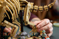 Dinosaur Fossils: Triceratops (1154+pcs)
