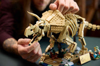 Dinosaur Fossils: Triceratops (1154+pcs)