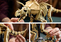 Dinosaur Fossils: Triceratops (1154+pcs)
